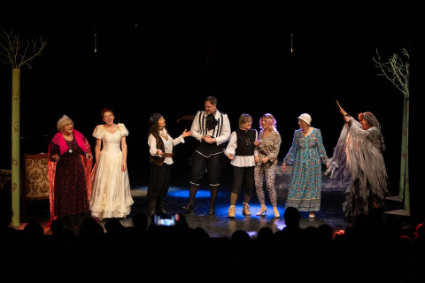 Ilustracja wprowadzenia: "Przygody Księcia Sepleniusza" na scenie Teatru im. Andreasa Gryphiusa